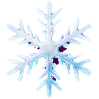 Frost